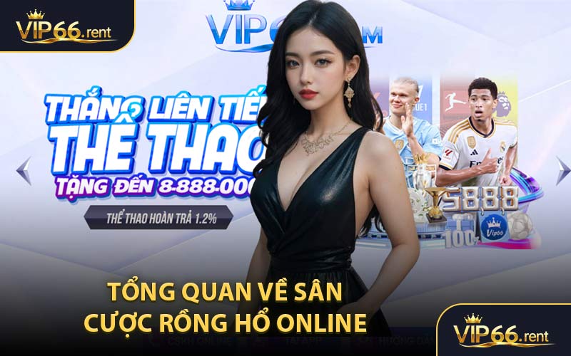 Tổng quan về sân cược Rồng Hổ online 